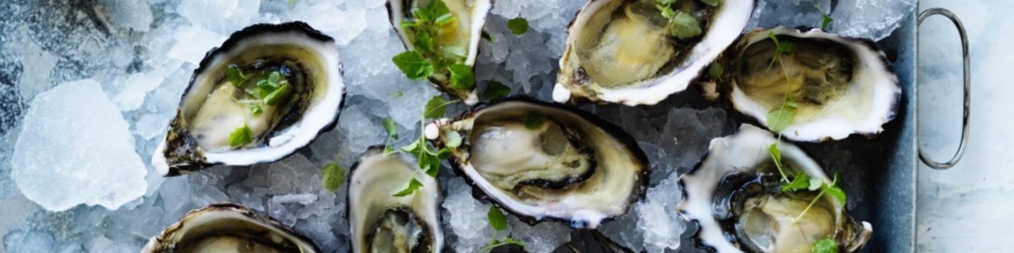 Oysters Raw